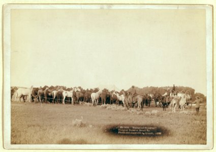 Roping and changing. Changing horses on round up LCCN99613909