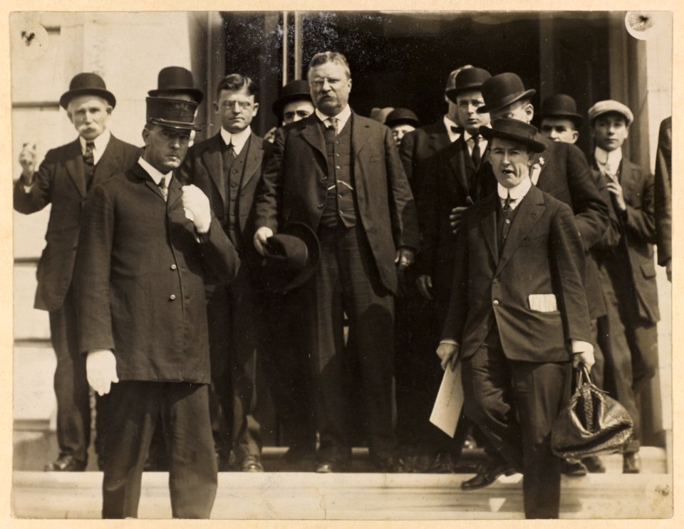 Roosevelt at campaign fund inquiry in Washington, D.C. LCCN2009633770