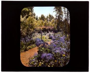 Senuelo, Edward Ditmars Wetmore house, 1050 Channel Drive, Montecito, California. Path to rose garden LCCN2007684880