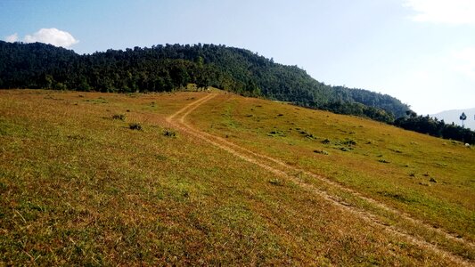 Meadow sky pasture photo