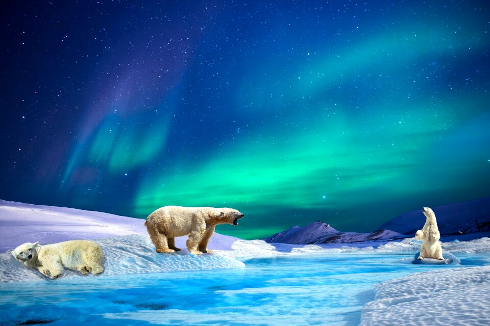 Glacier northern lights ice