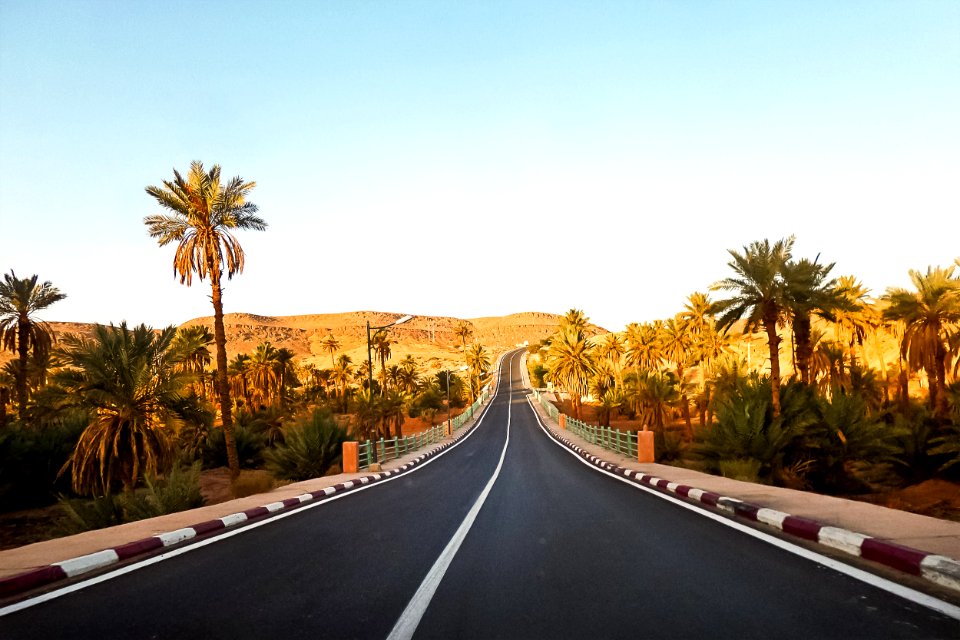 Taghit - Bechar تاغيت - بشار (49065730477)