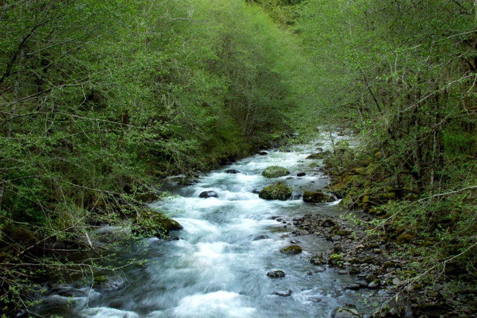 Table Rock Fork of the Mollala River, Oregon - Flickr - Bonnie Moreland (free images)