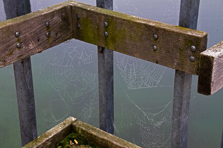 Drop of water wet cobwebs