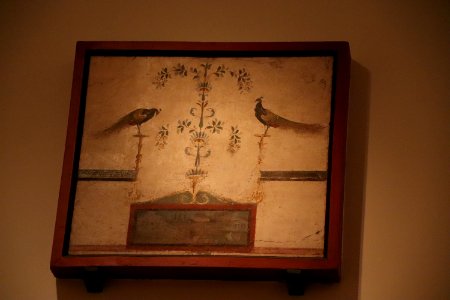 Temple of Isis, Pompeii (48452170037)