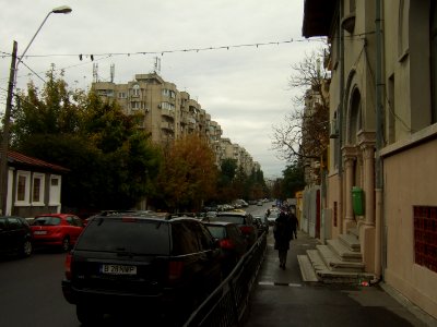TerenFoisorului2010 1010 115524 (51287315186)