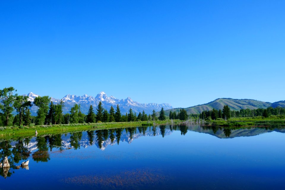 Teton Reflection (51308058612)