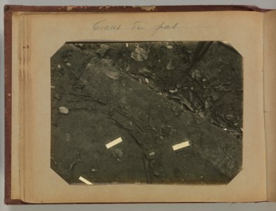 Album of Paris Crime Scenes - Attributed to Alphonse Bertillon. DP263666