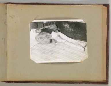 Album of Paris Crime Scenes - Attributed to Alphonse Bertillon. DP263834 photo