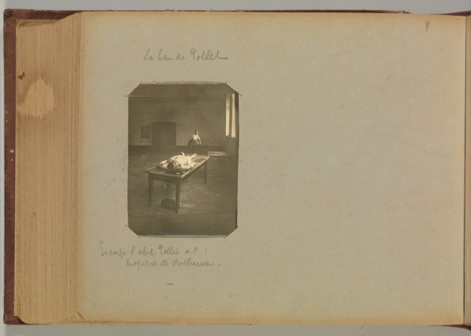 Album of Paris Crime Scenes - Attributed to Alphonse Bertillon. DP263829