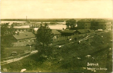 Babrujskaja fartecyja, Biarezina. Бабруйская фартэцыя, Бярэзіна (1918) (2)