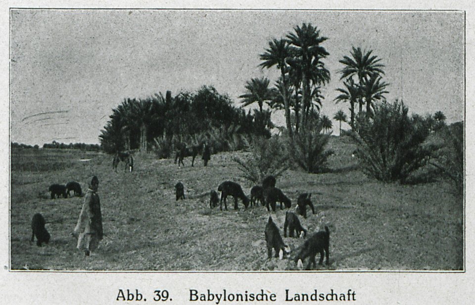 Babylonische Landschaft - Banse Ewald - 1919
