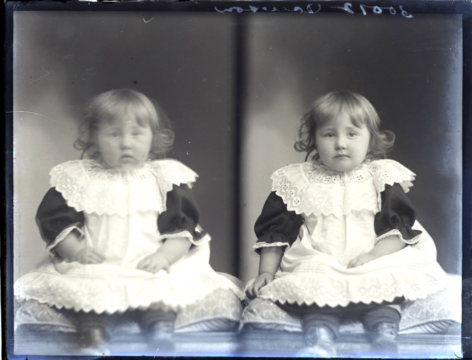 Baby Dawson, nd (16445837283)