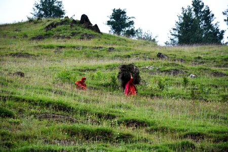 Local people green kashmir