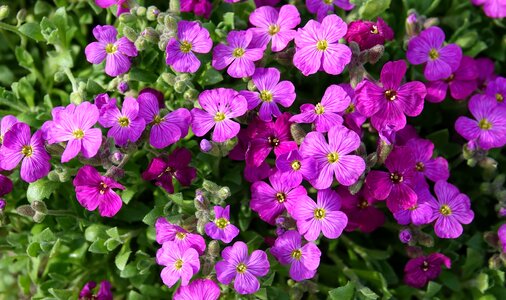Garden nature fulfillment