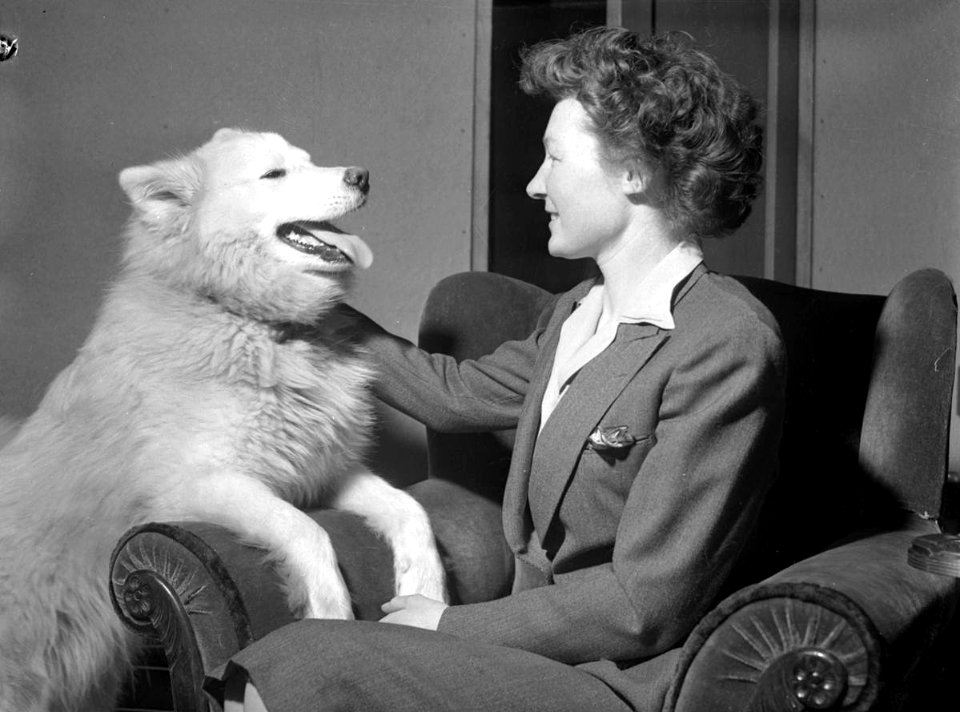 Woman with a husky dog -member of Mail Carrier Dog Team- (20478599702)