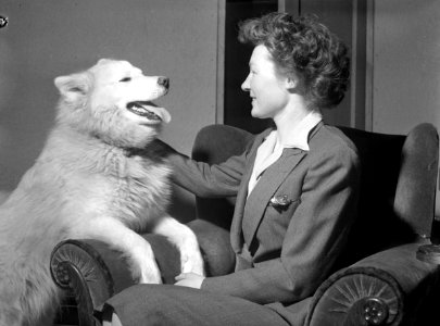 Woman with a husky dog -member of Mail Carrier Dog Team- (20478599702) photo