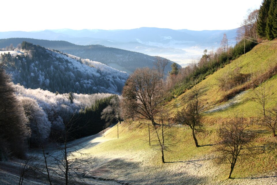 Valley morgentau black forest