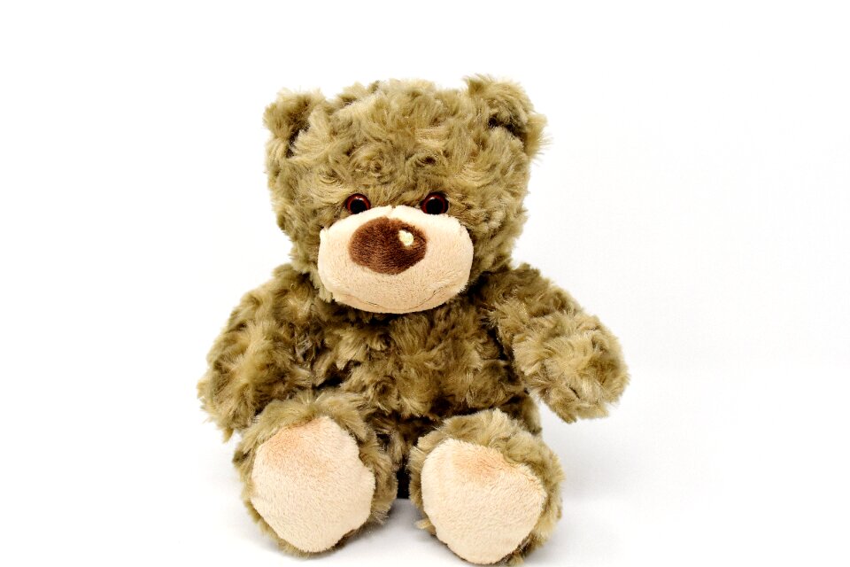 Soft toy teddy bear plush photo