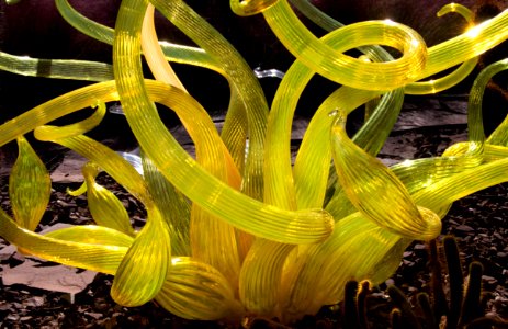 Yellow Spirals (10913419764)