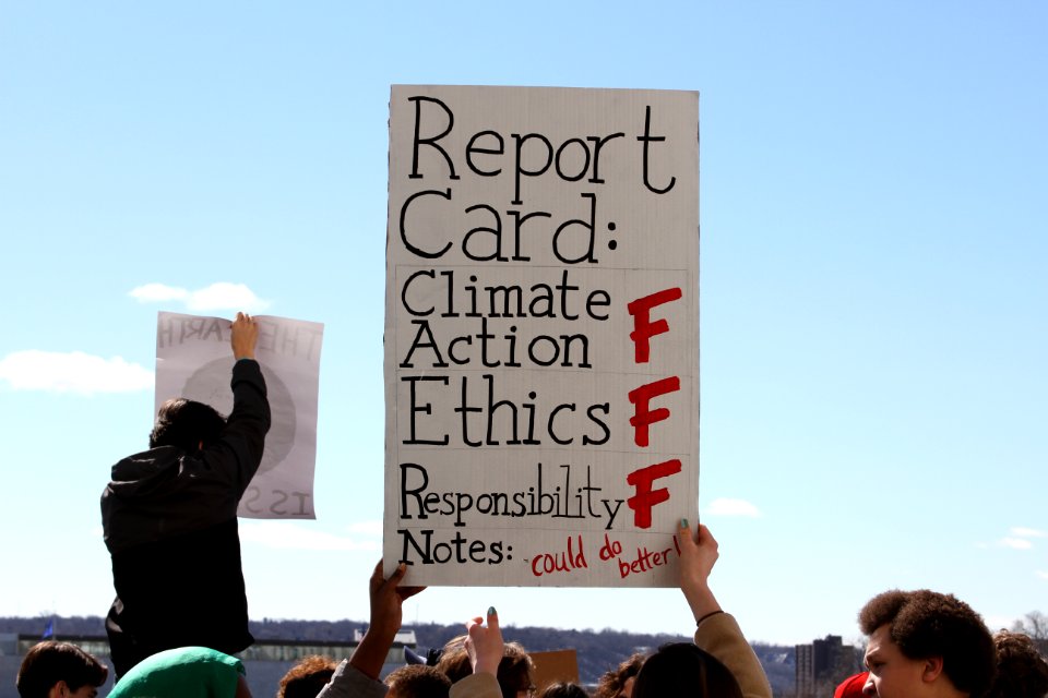 Youth Climate Strike (46719435564)