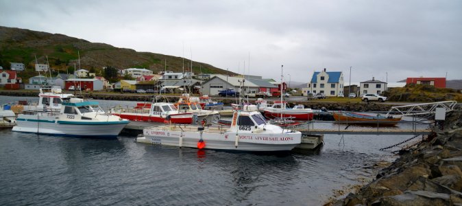 You'll Never Sail Alone, Holmavik Harbour, Iceland (48768801902)