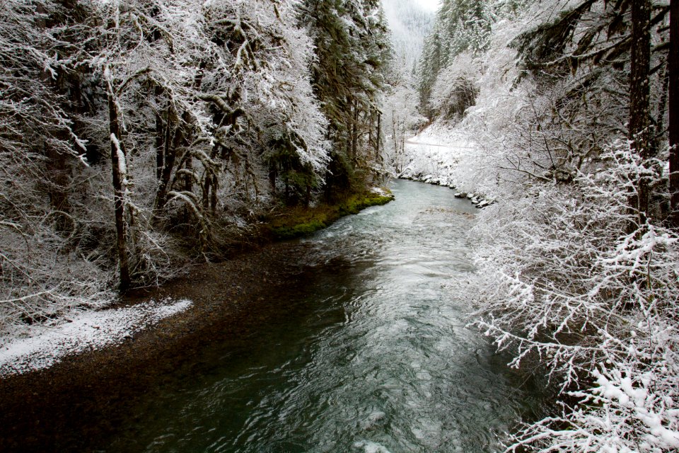 Yukwah recreation area in snow, Oregon (38636253860)