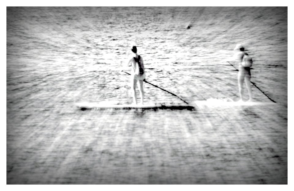 Zoom boarders (24032207397)