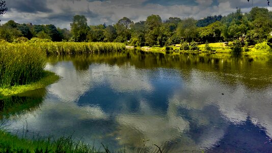 Wetland afternoon nature