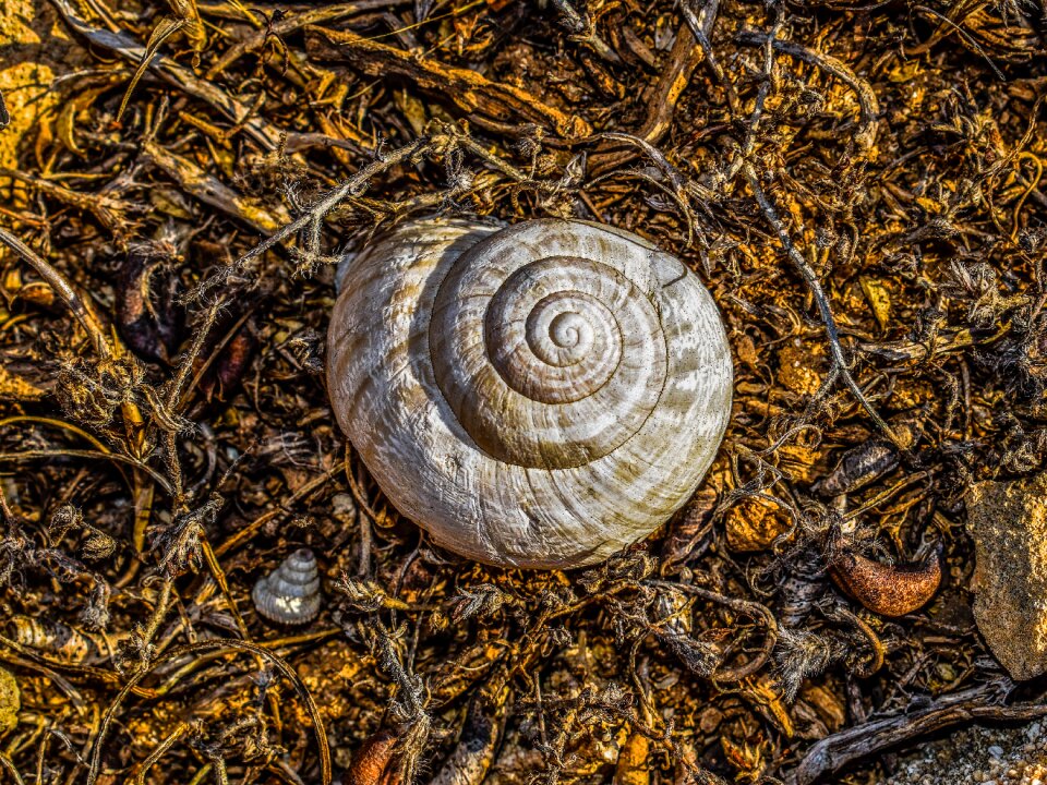 Nature spiral ground