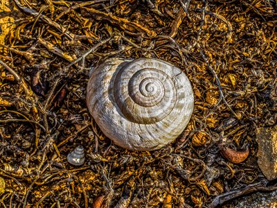 Nature spiral ground