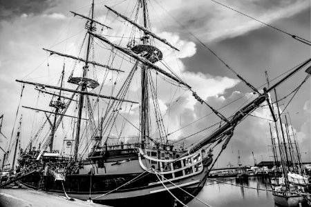 Étoile du roy-BW (43243933605)