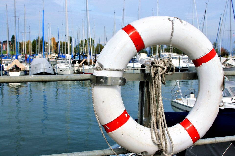 Sailboats the mast cove