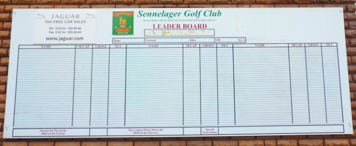 2010-08-18-Golf-Senne-1-Leaderboard