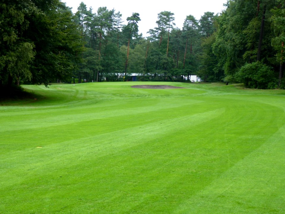 2010-08-18-Golf-Senne-Green-2