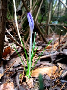 2011-03-26-stadtforst-ebw-13