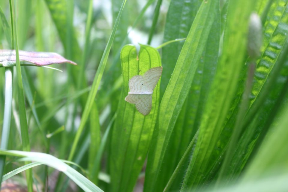 2014 07 26 Falter3