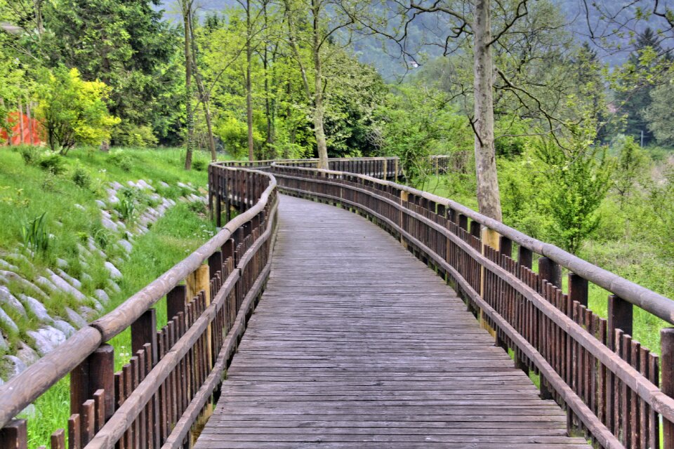 Summer park landscape
