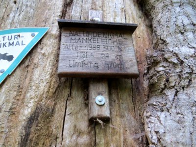 2019 Mankeleiche Schild ND 435007