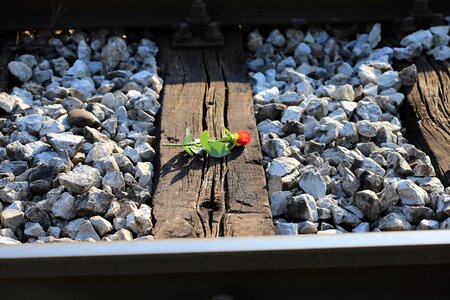 Loving memory condolence nature