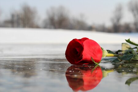 Love symbol romance winter