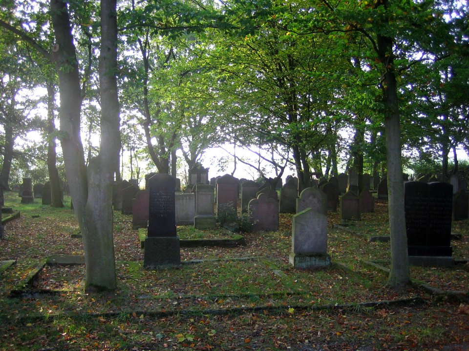 Alter Jüdischer Friedhof von Obervorschütz