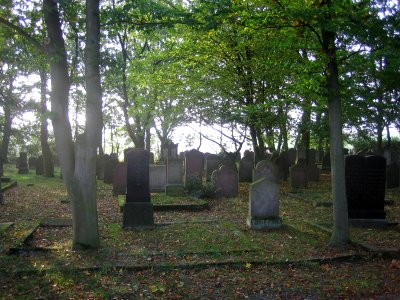 Alter Jüdischer Friedhof von Obervorschütz