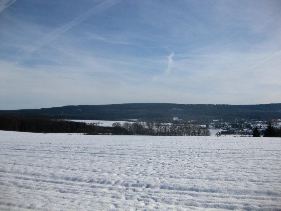 An den zwei Steinen im Idarwald