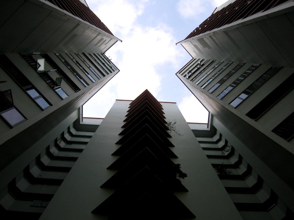 Anchorvale Grove, Jan 06