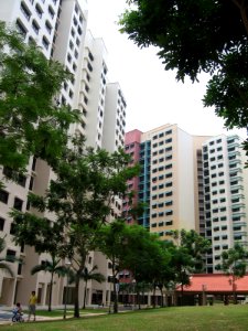 Anchorvale Vista, Aug 06