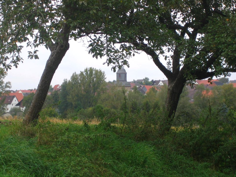 Ansicht von Obervorschütz