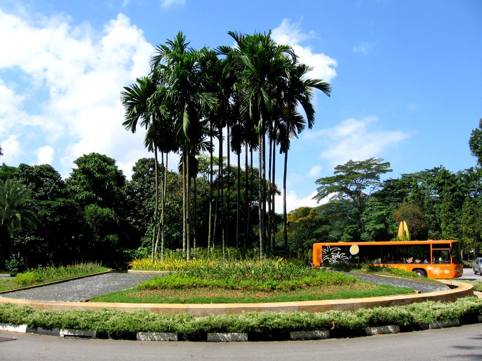 Artillery Avenue, Sentosa, Aug 06