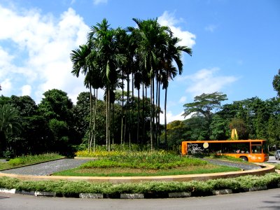Artillery Avenue, Sentosa, Aug 06