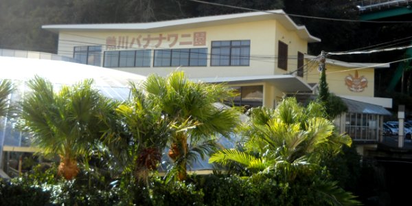 ATAGAWA TROPICAL & ALLIGATOR GARDEN